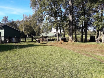 Venta / Terreno Agricola / Curacautín