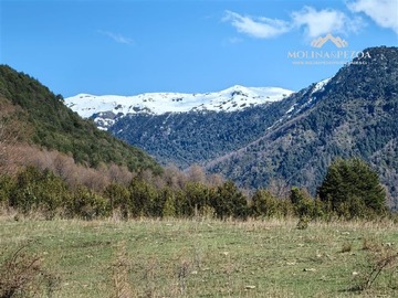 Imagen 6