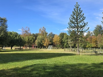 Venta / Terreno Agricola / Curacautín