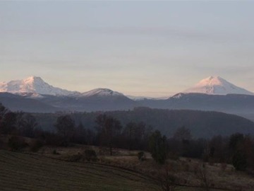 Venta / Terreno Agricola / Curacautín