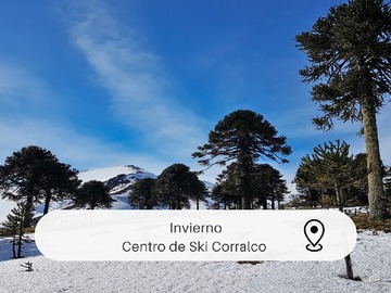 Imagen 16