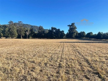 Venta / Terreno Agricola / Curacautín