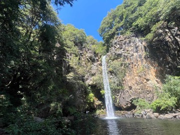 Venta / Terreno Agricola / Curacautín