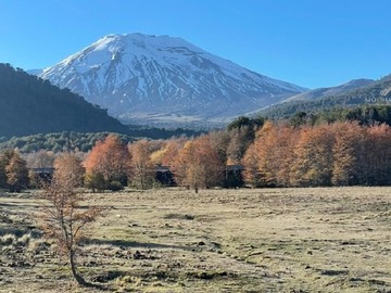 Venta / Terreno Agricola / Curacautín