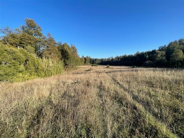 Venta / Terreno Agricola / Curacautín