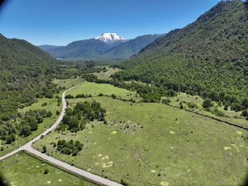 Venta / Terreno Agricola / Curacautín
