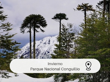 Imagen 15