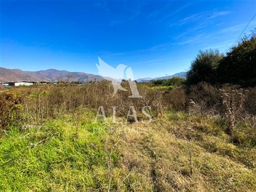 Imagen 20