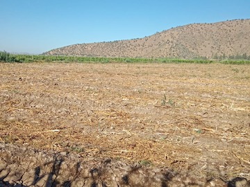 Venta / Terreno Agricola / Curacaví