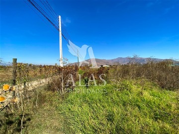 Imagen 18