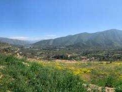 Venta / Terreno Agricola / Curacaví