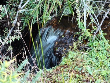 Imagen 7