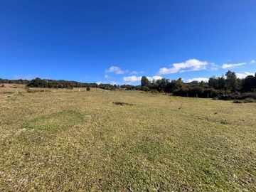 Venta / Terreno Agricola / Curaco de Vélez
