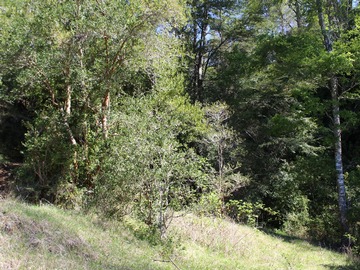 Imagen 23