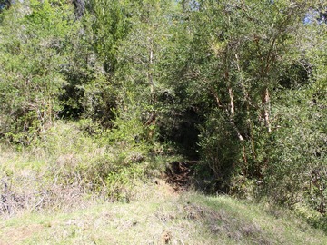 Imagen 21