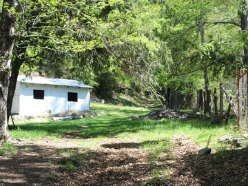 Venta / Terreno Agricola / Curarrehue