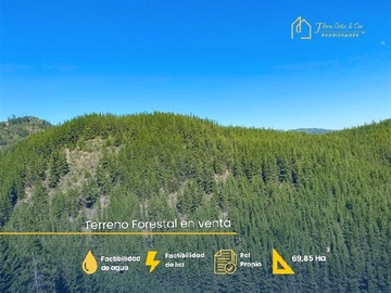 Venta / Terreno Agricola / Curepto