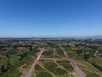 Venta / Terreno Agricola / Curicó