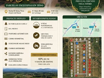 Imagen 17