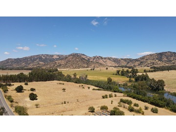 Venta / Terreno Agricola / Curicó