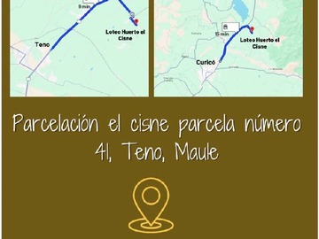 Imagen 15