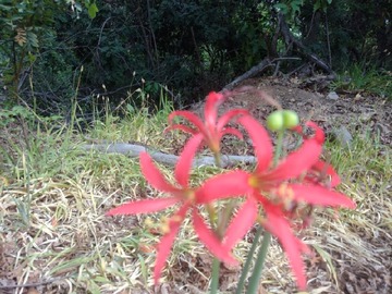 Imagen 9