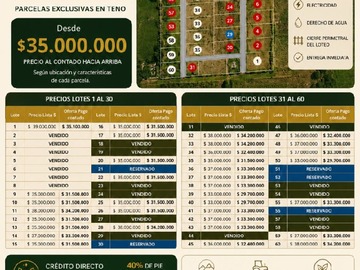 Imagen 19