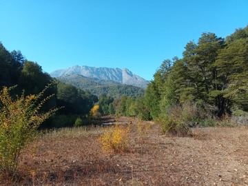 Venta / Terreno Agricola / Curicó