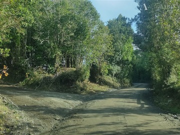 Venta / Terreno Agricola / Dalcahue