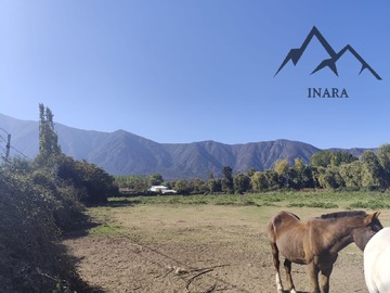 Venta / Terreno Agricola / Doñihue