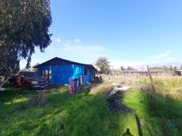 Imagen 5