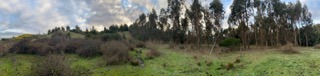 Imagen 14