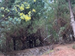 Imagen 4
