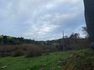 Imagen 6