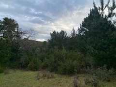 Imagen 8