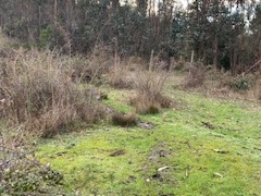 Venta / Terreno Agricola / Florida