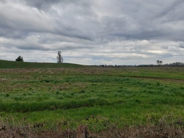 Venta / Terreno Agricola / Freire