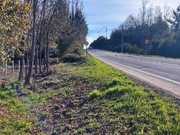 Venta / Terreno Agricola / Freire