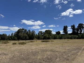 Venta / Terreno Agricola / Freire