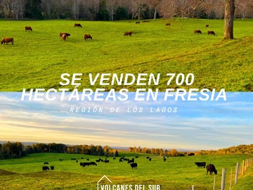 Venta / Terreno Agricola / Fresia