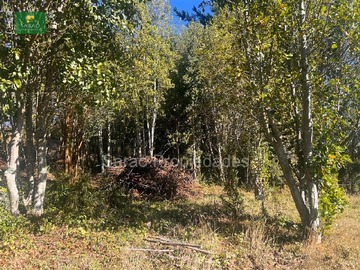 Venta / Terreno Agricola / Fresia