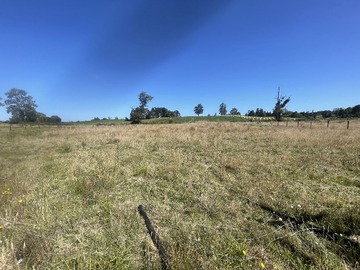 Venta / Terreno Agricola / Fresia