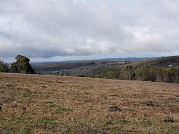 Venta / Terreno Agricola / Fresia
