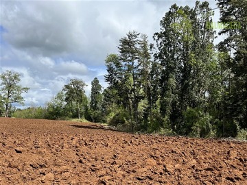 Imagen 12