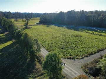 Venta / Terreno Agricola / Frutillar