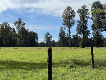 Venta / Terreno Agricola / Frutillar