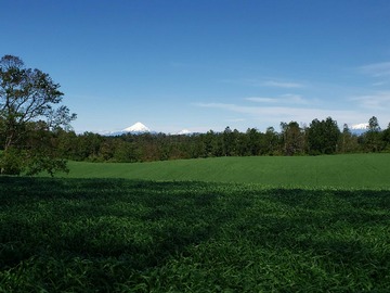 Venta / Terreno Agricola / Frutillar