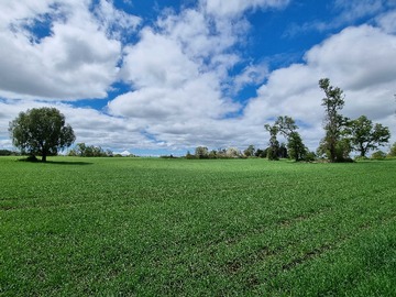 Venta / Terreno Agricola / Frutillar