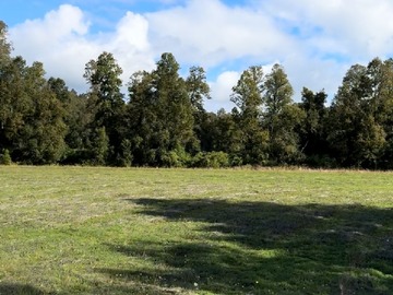 Venta / Terreno Agricola / Frutillar
