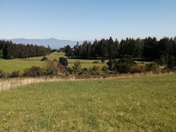 Venta / Terreno Agricola / Futrono